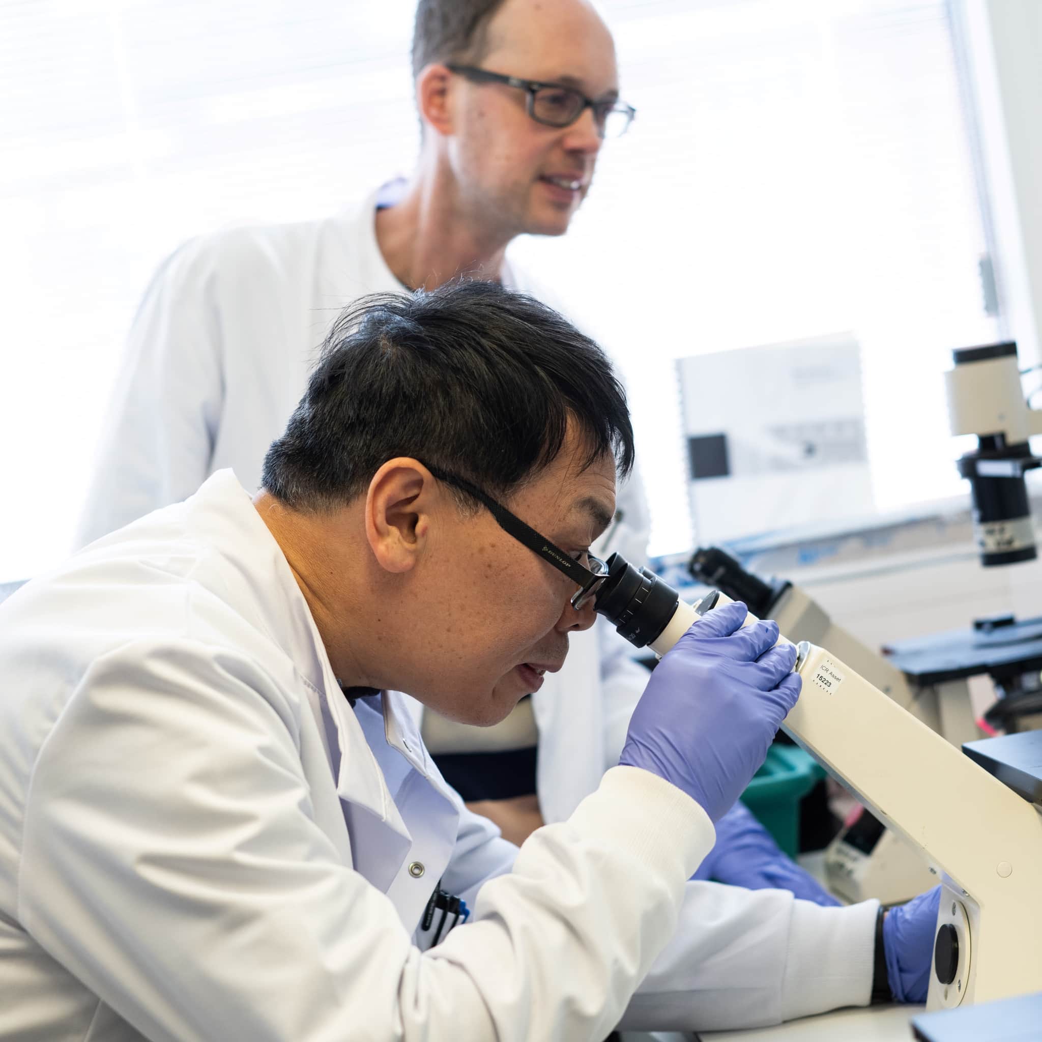 Researcher looking down a microscope.