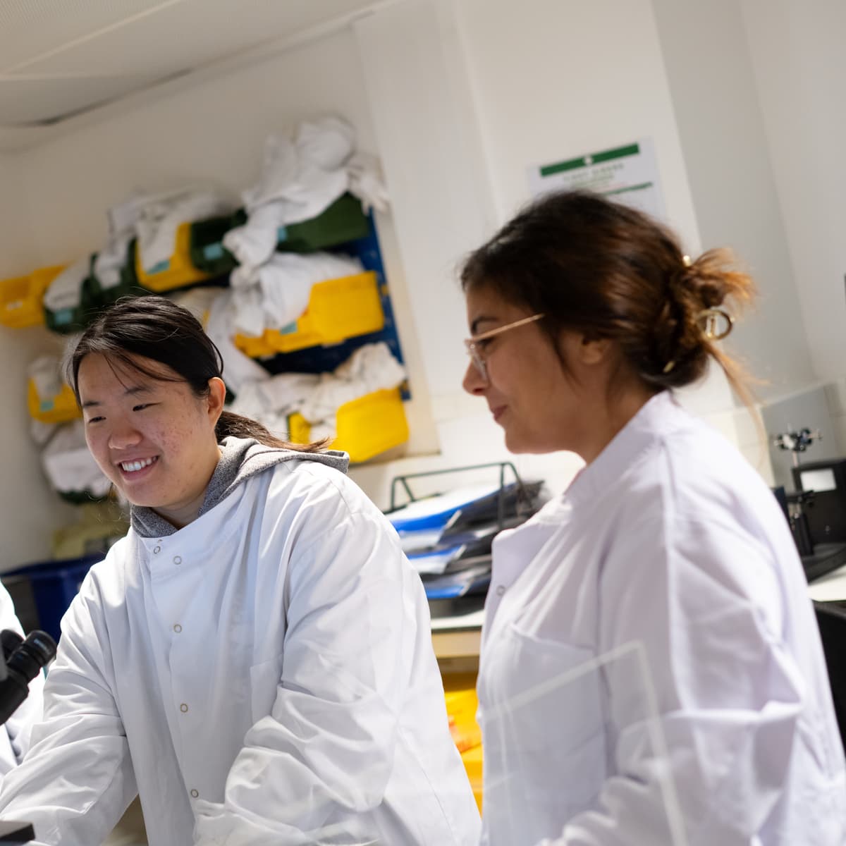 Two researchers having a discussion in the lab.