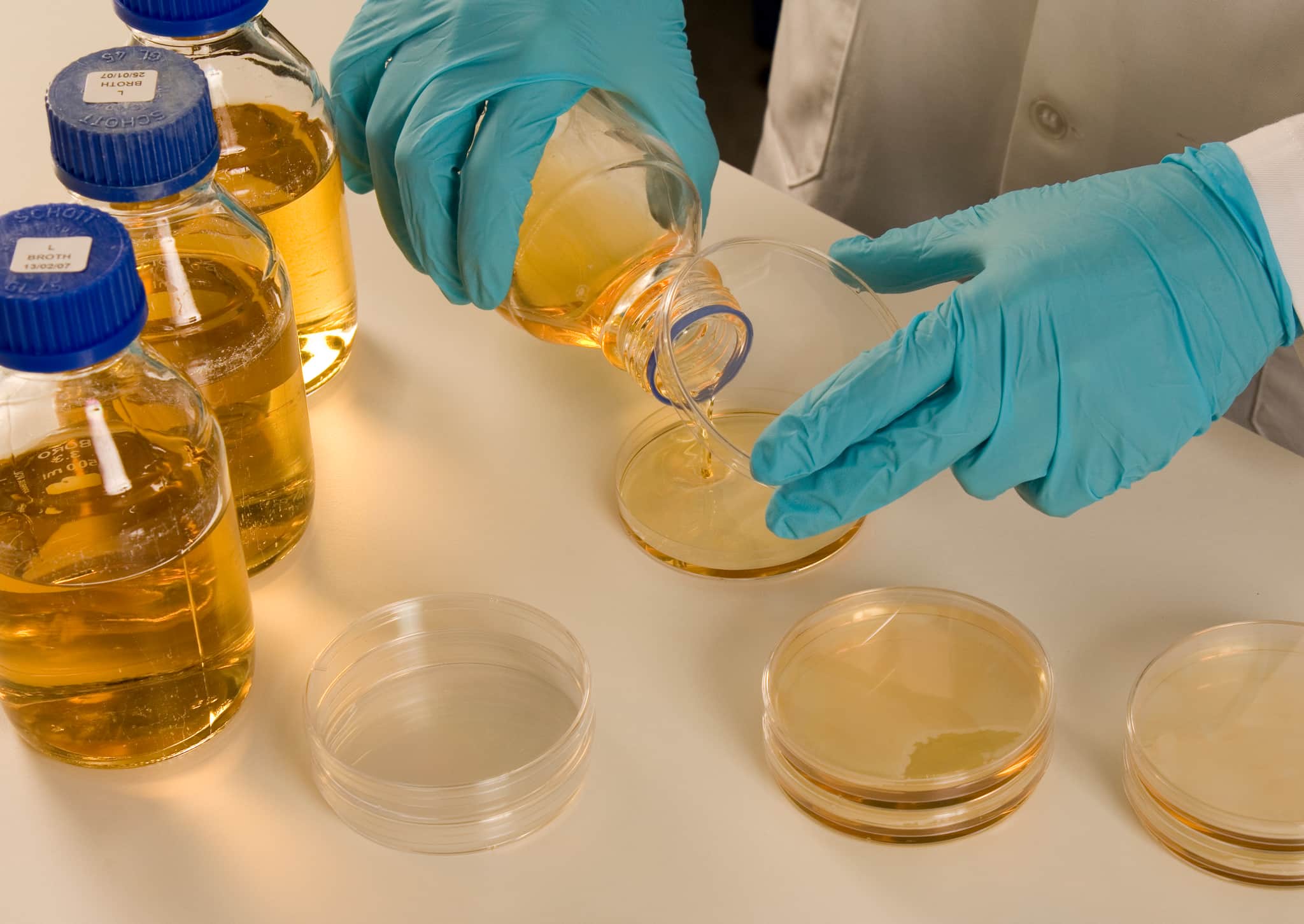 laboratory equipment- Culture plate samples.