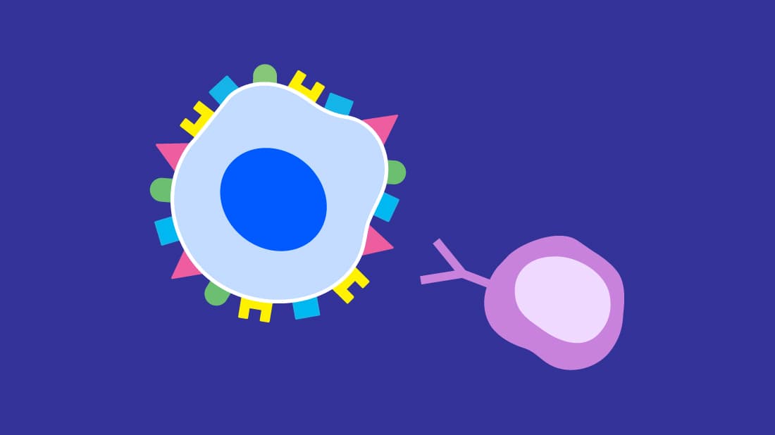 Graphic showing cells.