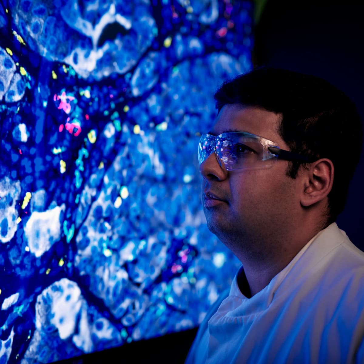 Researcher looking at a cell image.