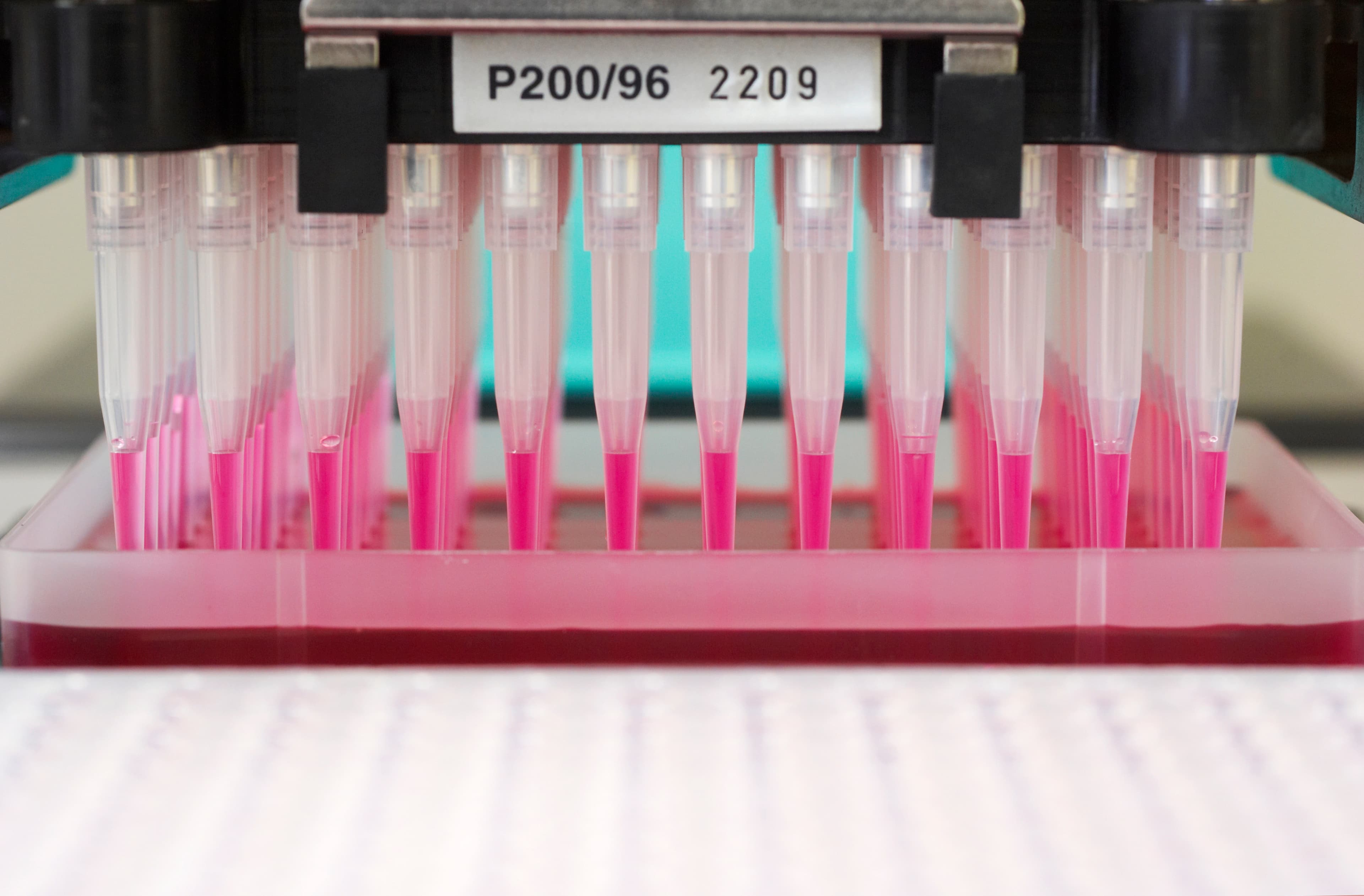 Pipettes-Lab equipment.