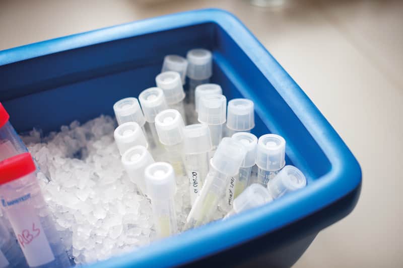 Samples tubes in a box of ice.